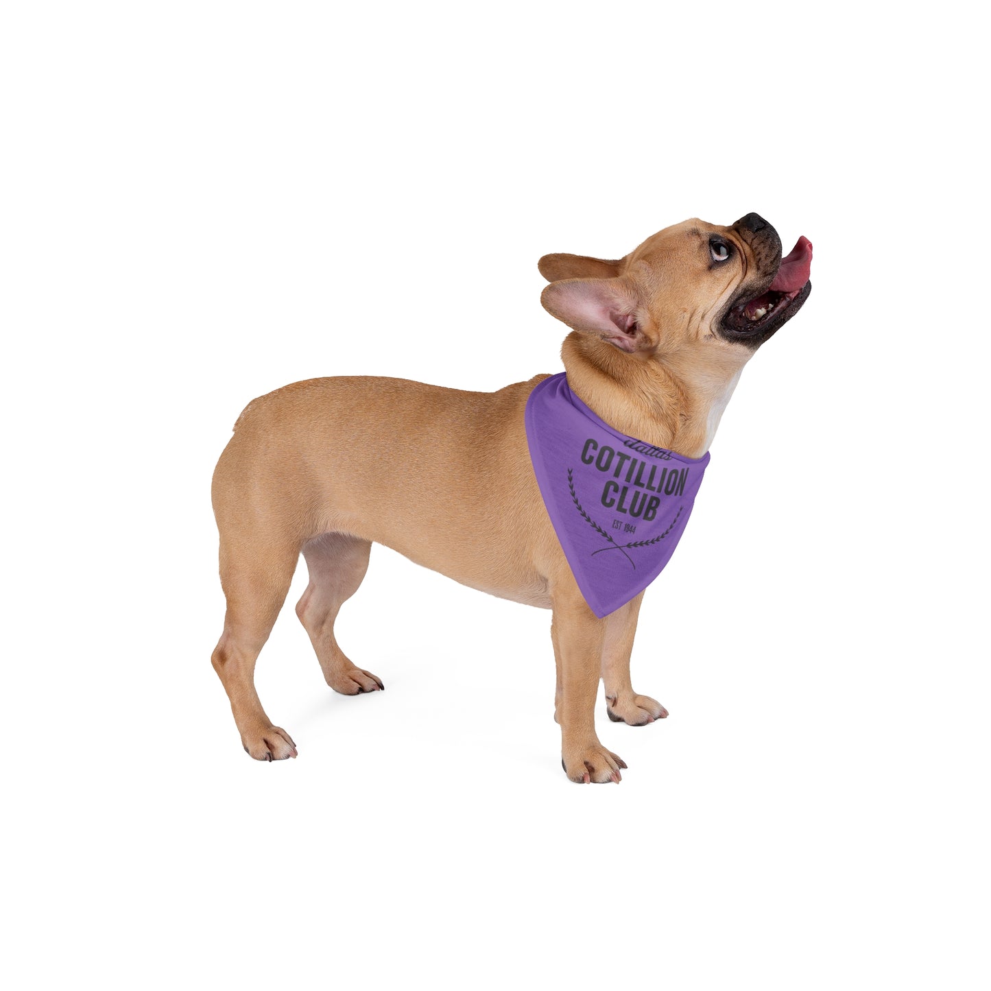 DCC Pet Bandana