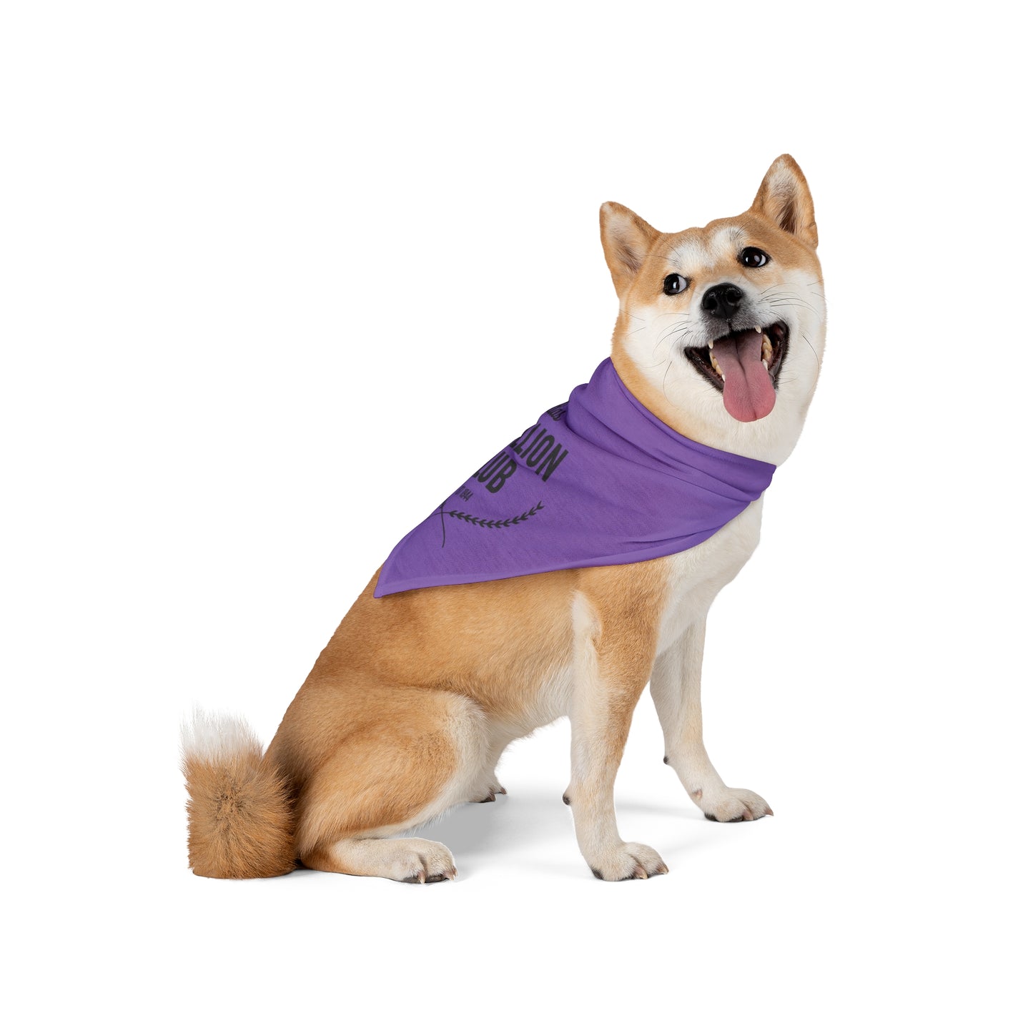 DCC Pet Bandana